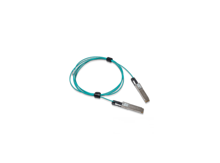 Mellanox MFS1S00-V100E