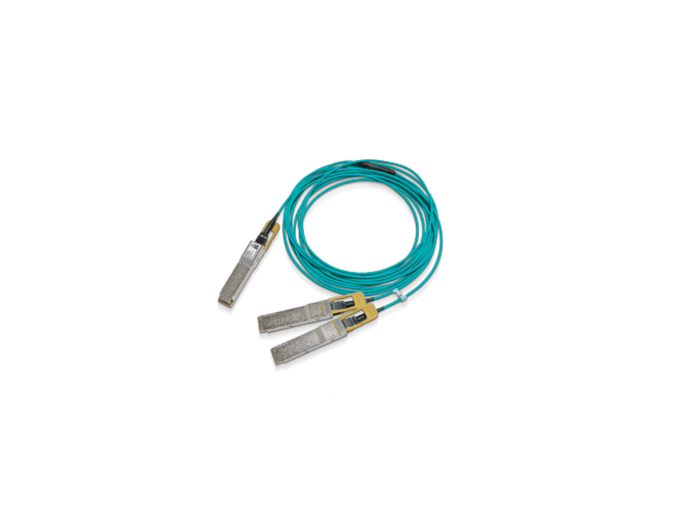 Mellanox MFS1S50-H015E