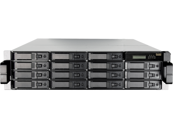 RAIDdeluxe RDL-CS16I10D-R3