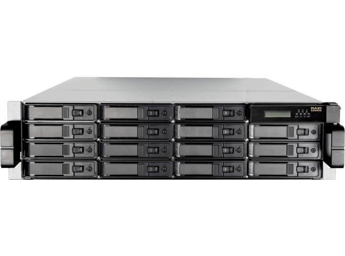 RAIDdeluxe RDL-CD16I10D-R3