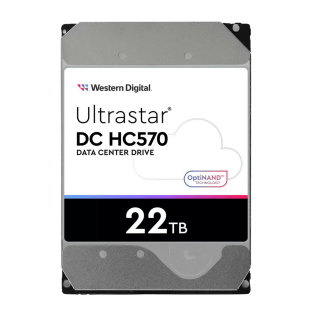 Western Digital Ultrastar DC HC570 Enterprise 22 TB Nearline SATA Festplatte