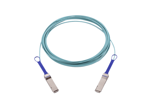 Mellanox MFA1A00-E010